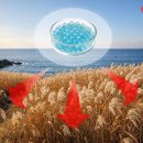 글라스버그 이미지