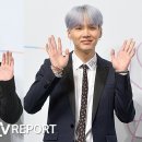 진은