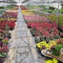 두리조경 이미지