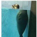 함창뽕잎한우 이미지