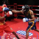 세종 홍복싱 MMA멀티짐 이미지