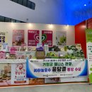 전국관광㈜ 이미지