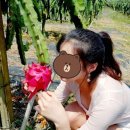 남근농장 이미지