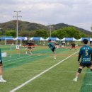 영강체육공원 축구장 이미지