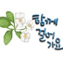 스마트폰으로 세상과 소통하기 이미지