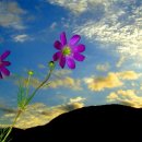 대송한의원 이미지