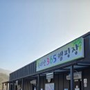 속리산365캠핑장 이미지