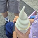 해피전자 | ​[5월 에버랜드] S전자 어린이날 나노시티 해피데이 에버랜드 후기👍