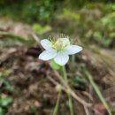 대 덕 사 이미지