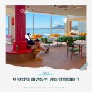 NR-7[동해대로]-하-269 | 아이랑 포항 영덕 오션뷰 애견 동반 카페 러블랑댕댕파크