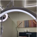 앨리스브로우 이미지