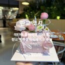 요케이크 | 분당레터링케이크 코시 판교역 주문제작 케이크 추천!