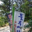 동산농장(1) 이미지