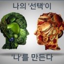 물댄동산 이미지