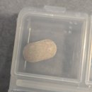 케어라이프 스토어 | 맥주효모 비오틴으로 챙기는 두피케어💊 라이프미션 후기