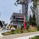 고덕성심소아청소년과의원 이미지