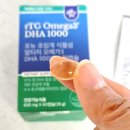 문화캡슐 | 포뉴 초임계 식물성 알티지 오메가3 DHA1000 소형캡슐 카제로템 후기 식물성 오메가3 선택한 이유