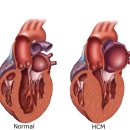 봉선아이동물메디컬센터 이미지