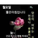 강남 스타일 ㅡ 따라 춤추기ㅡ 술에취해ㅡ 객기 부리는 여자ㅡ 가지가지한다ㅡ 가관 이구만요ㅡ 이미지