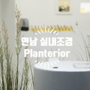 벨에포크가든 이미지