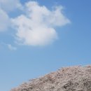 익산시북부청사 이미지