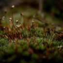 인컴메디칼 | 24년 8월 I 부수입 결산