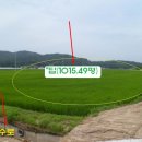 여주-0603 Daum카페