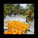 다미농장 이미지