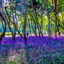 태화강 철새공원 이미지