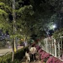 우경목욕탕