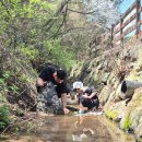 자연마당 | 청주 상당산성 가재잡기 성공 후기, 6세 아이랑 자연마당 체험 코스 추천