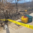 불은농약 이미지