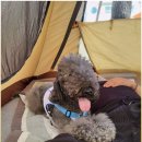 대천농협해수욕장지점 이미지