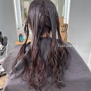 살롱엘(salon L)