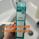 에스엔피 | 다이소 에스엔피 프렙 과잉피지 마스크 솔직 후기 고딩 여드름 피부 &amp; 수분부족 지복합성 피부 사용기