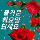 첫방송축하합니다 이미지