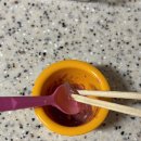 도마뱀 여름 보양식! ‘하이농장’ 살아있는 누에 피딩 후기