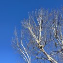 UR(의정부시)-[가능로]-하-15 | 하얀 눈은 자꾸 녹는데