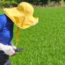 원주굽이길 19코스 기업도시둘레길 이미지