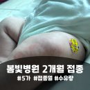 봄빛병원 | 안양 봄빛병원 2개월 접종 후기 (접종열 수유량 부작용)
