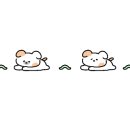 나니몰3