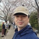 대저수문공원 | 부산 봄축제 추천 🌸 강서 낙동강 30리 벚꽃축제 + 대저 유채꽃 다녀온 후기