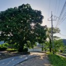 용연리마을회관 이미지