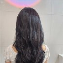 웰빙미용실 네이버블로그