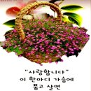 올에이플러스