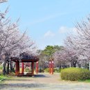 화랑유원지(제1주차장) 이미지