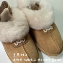 쓰리웨이1 | 호주 어그 구매 후기｜착용감과 보온성 솔직 리뷰