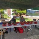 영천한우영농조합법인 이미지