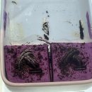 핫플레이스PC카페 이미지