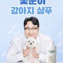 꽃분이 헤어